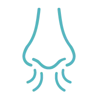 Icon 1 Detection