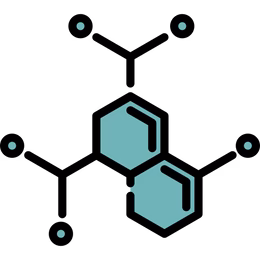 Enzyme 1 1